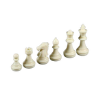 Chess Brain Game